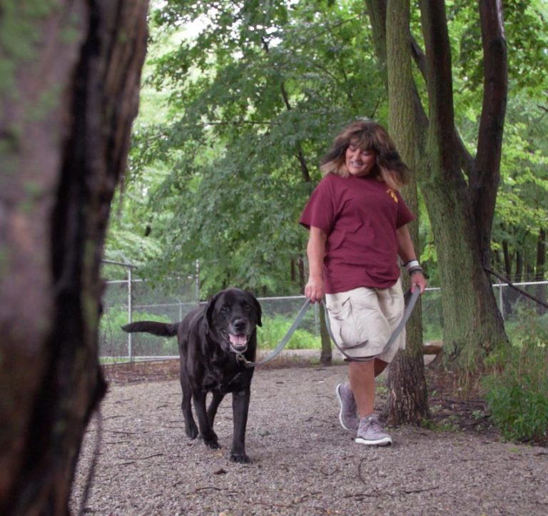 Vacation Photo Album Pet Resort And Daycare In Avon Lake Paws By