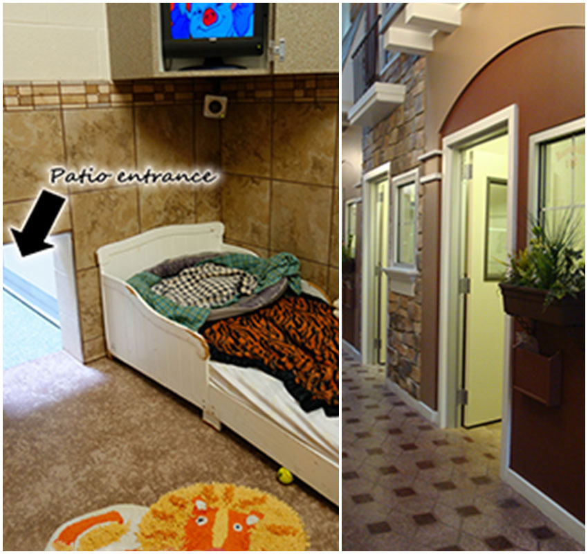 Dog Lodging Pet Resort And Daycare In Avon Lake Paws By The Lake